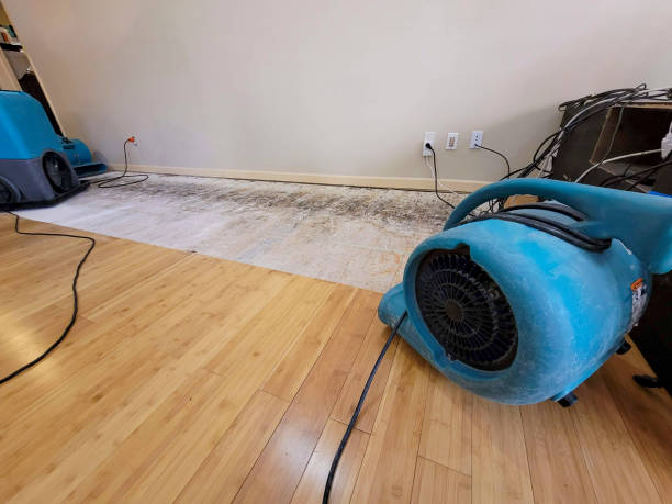 Professional Structural Drying technician working in Thousand Oaks, CA
